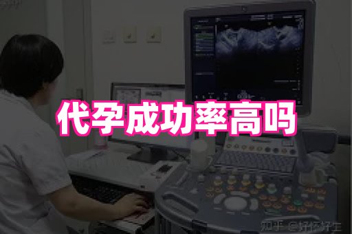 梦美助孕网 1