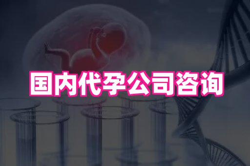 梦美助孕网 3