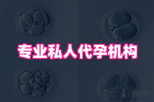 梦美助孕网 4